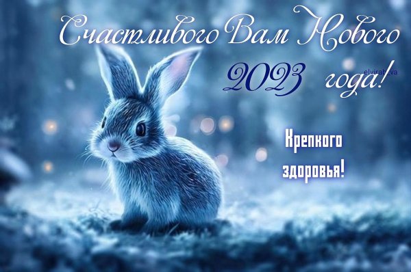 Зима и зайцы