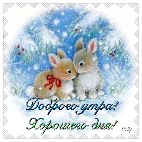 Зима и зайцы