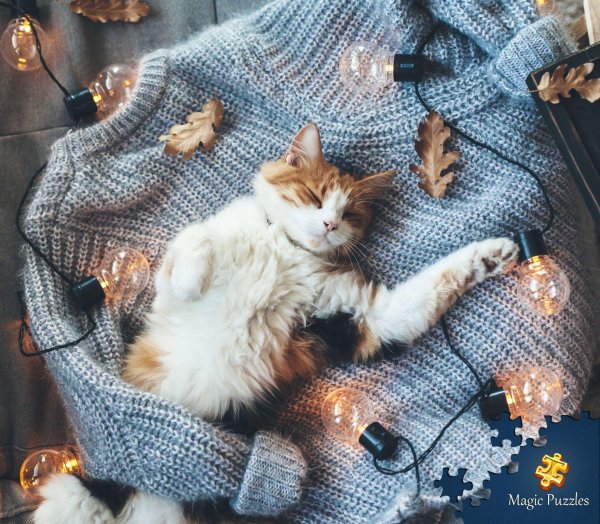 Вечер зима уют