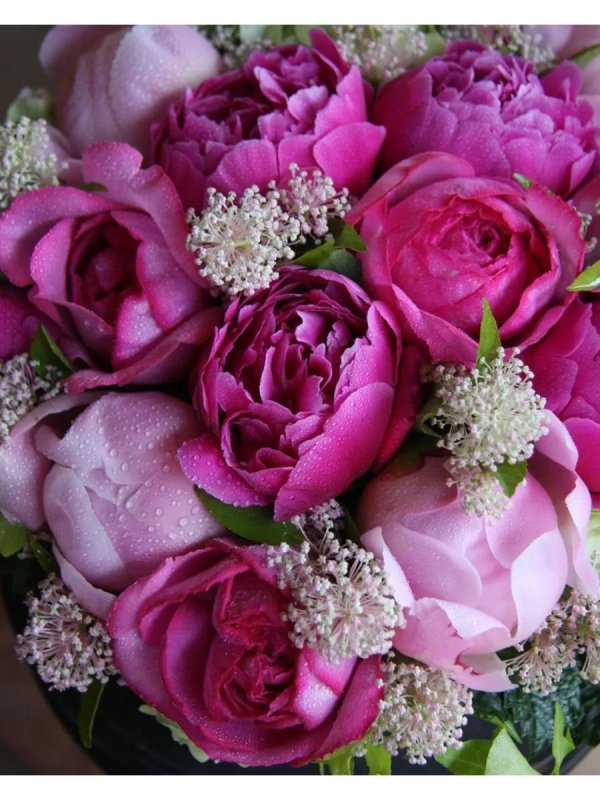 красивые букеты с пионами