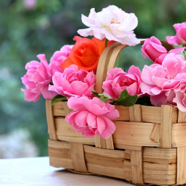 розы в корзинке