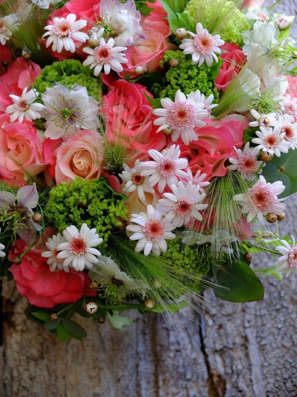 цветы флористика