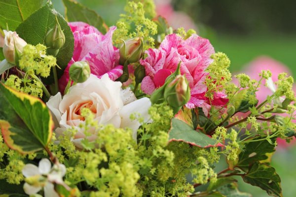 летние букеты