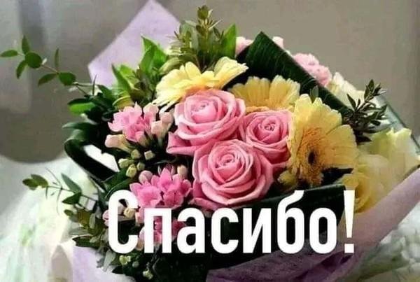 спасибо открытка