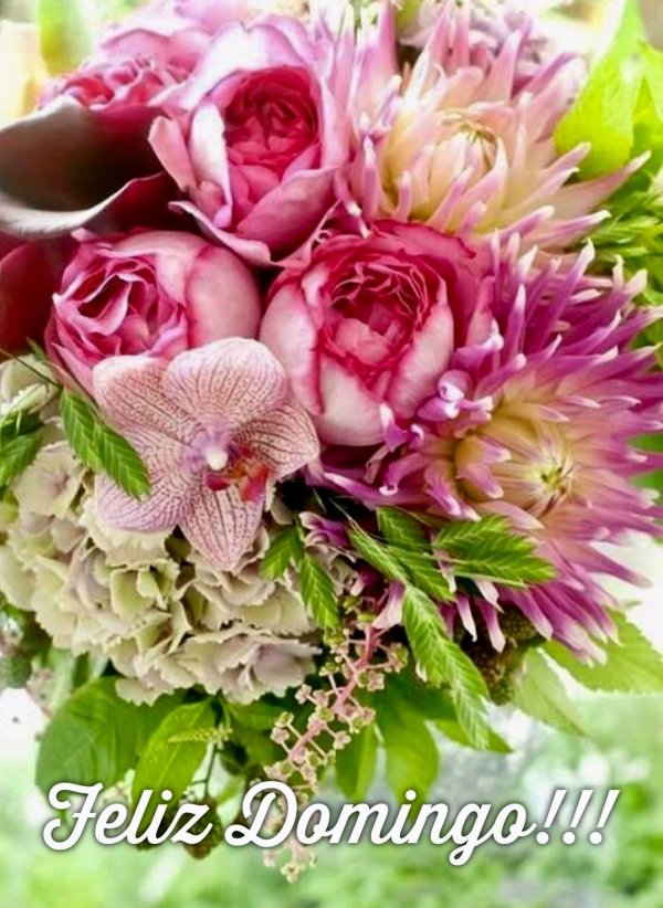 цветочные букеты