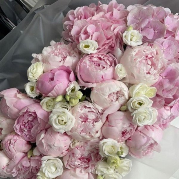 пионы и гортензии