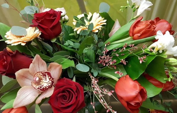 цветы живые