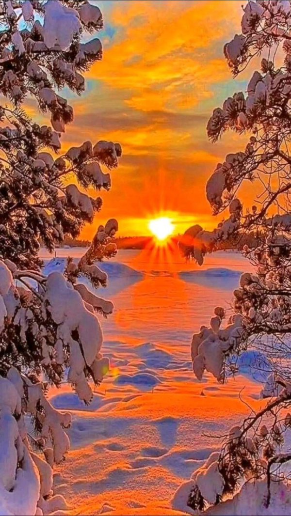 Зима пейзажи солнце