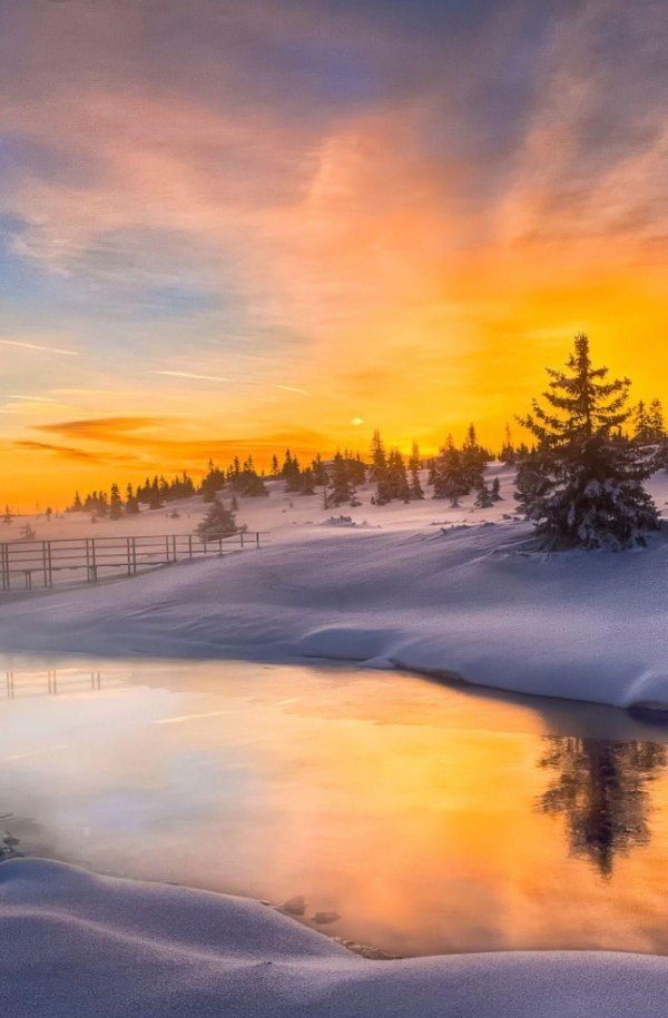 Зима пейзажи солнце