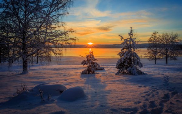 Зима пейзажи солнце