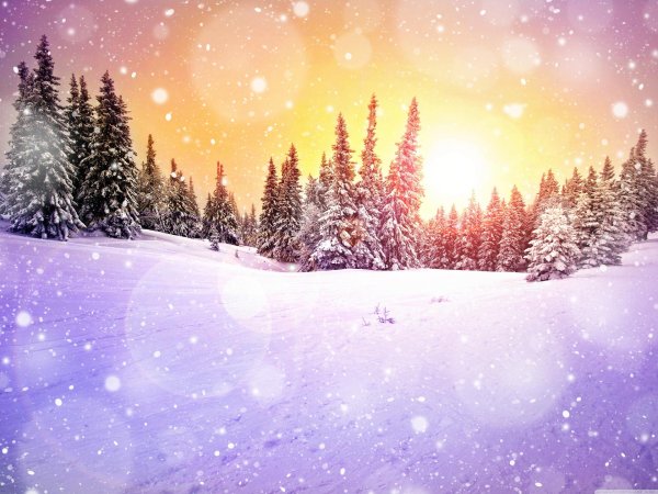 Зима пейзажи солнце
