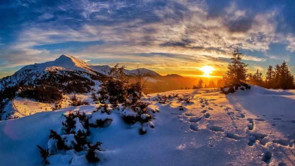 Зима пейзажи солнце