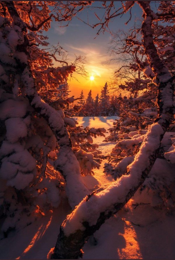 Зима пейзажи солнце