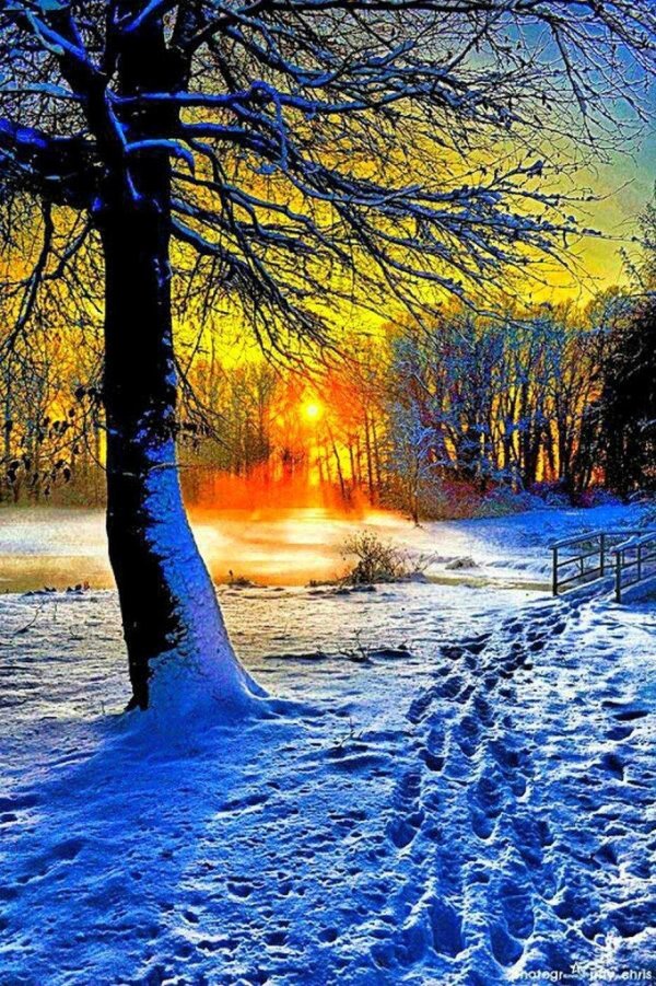 Зима пейзажи солнце