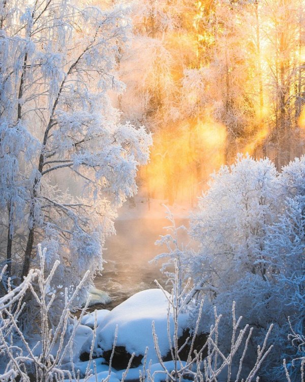 Зима пейзажи солнце