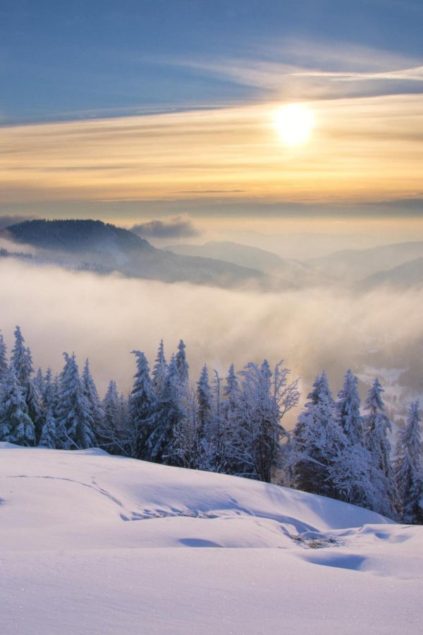 Зима пейзажи солнце