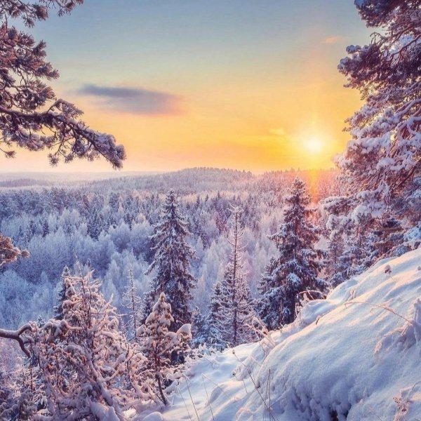 Зима пейзажи солнце