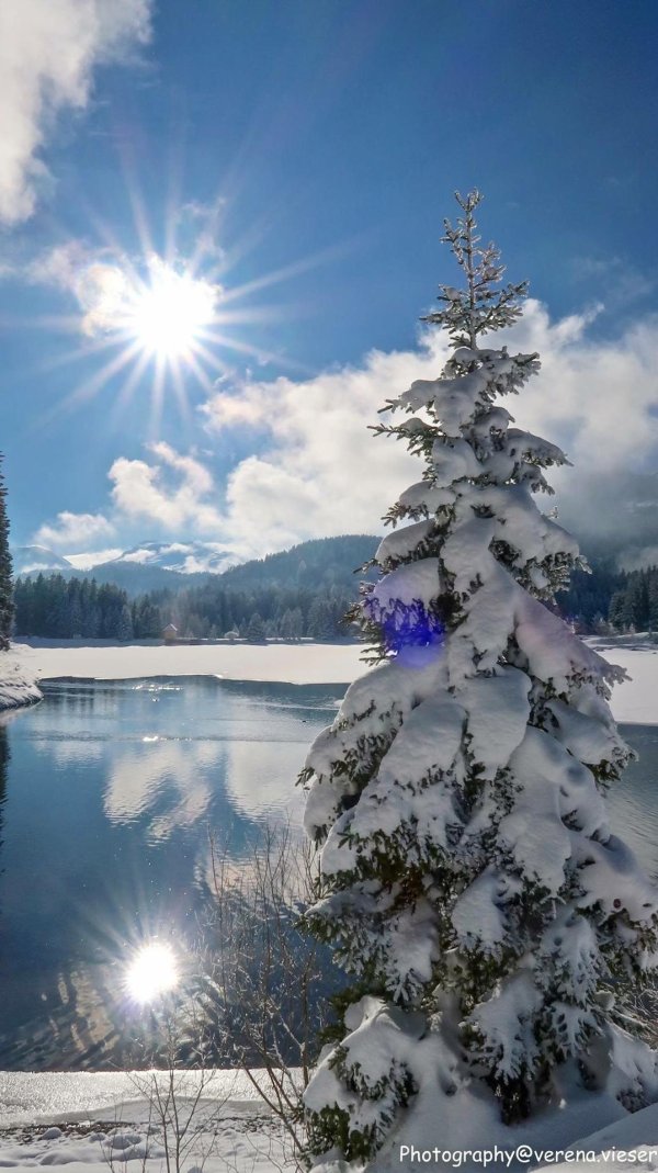 Зима пейзажи солнце