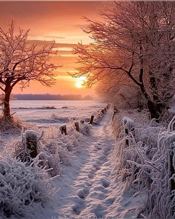 Зима пейзажи солнце