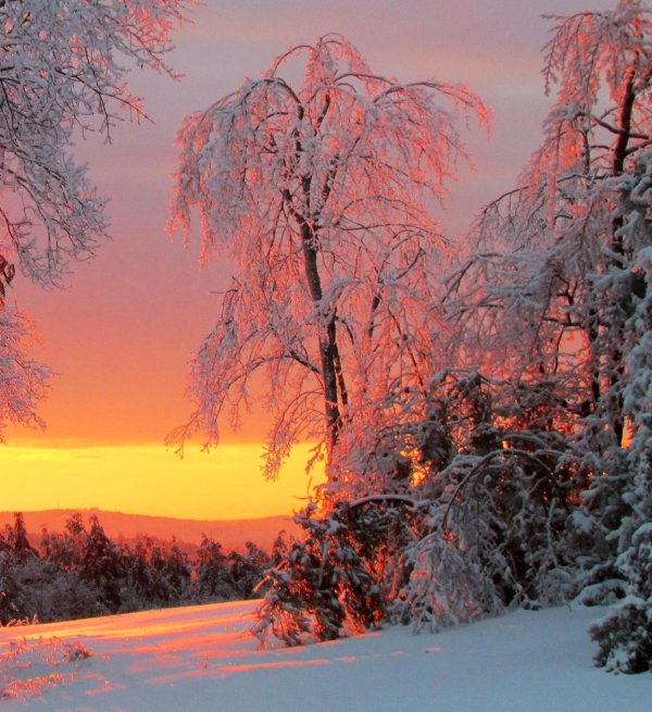 Зима пейзажи солнце