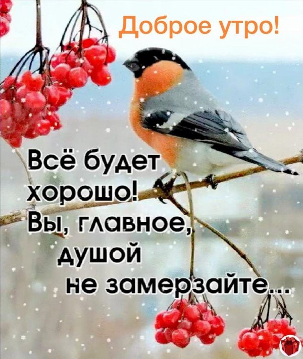 Зима с надписями со смыслом