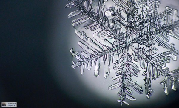 На рабочий стол зима снежинки