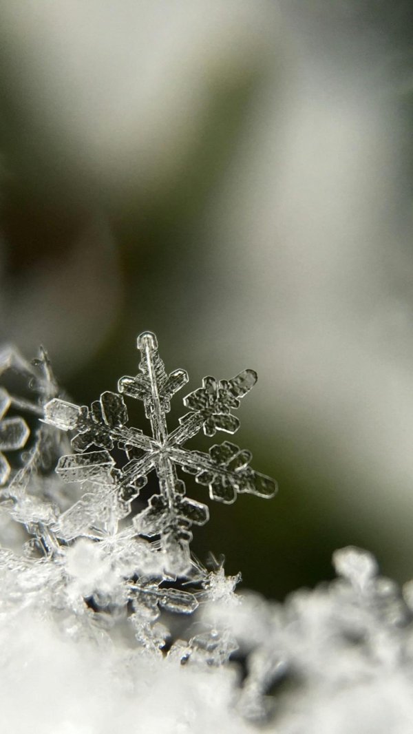 На рабочий стол зима снежинки