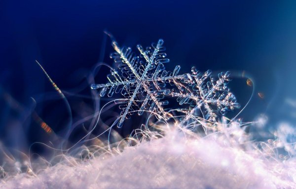 На рабочий стол зима снежинки