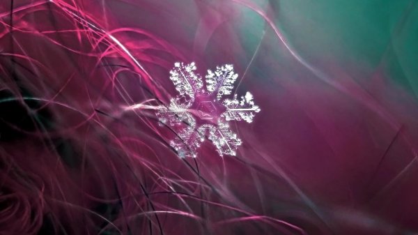 На рабочий стол зима снежинки