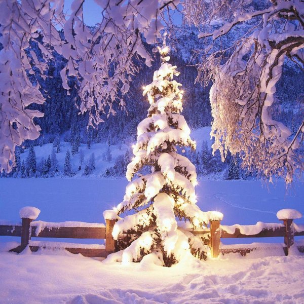 Блестящие зима