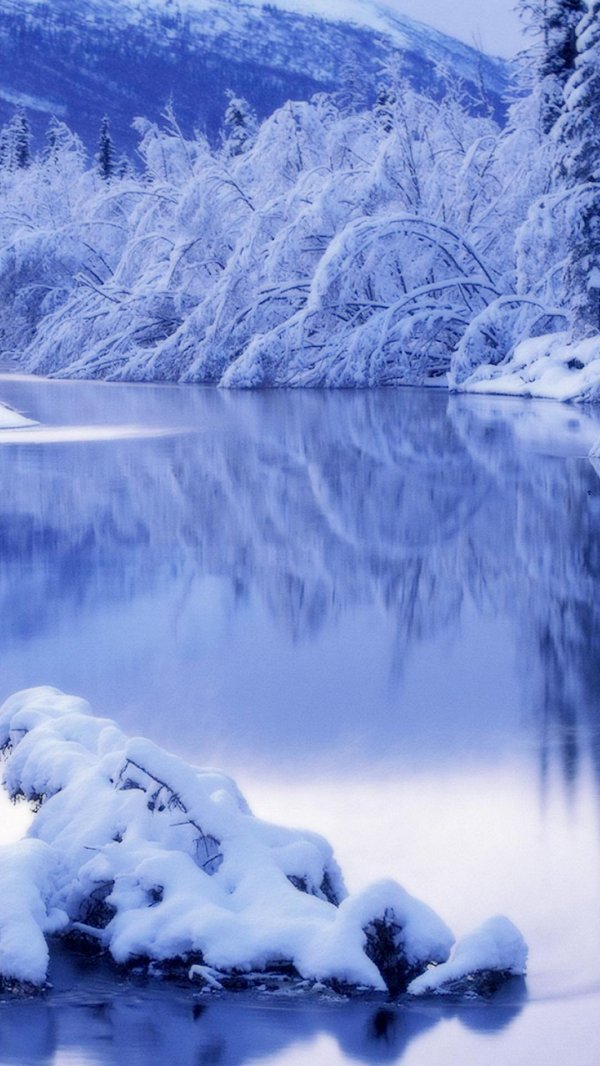 Блестящие зима