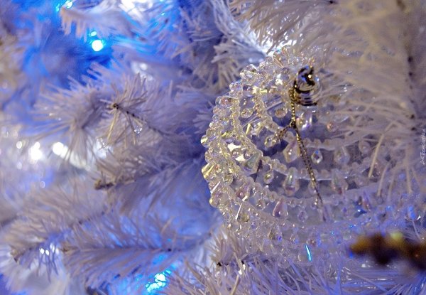 Блестящие зима