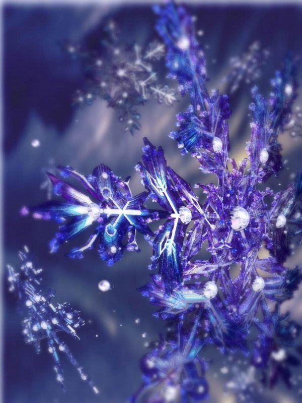 Блестящие зима