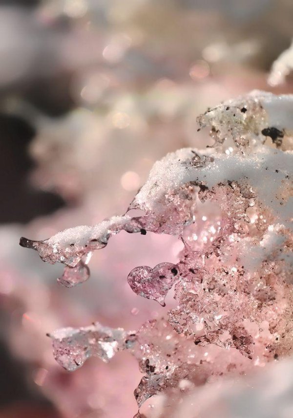 Блестящие зима