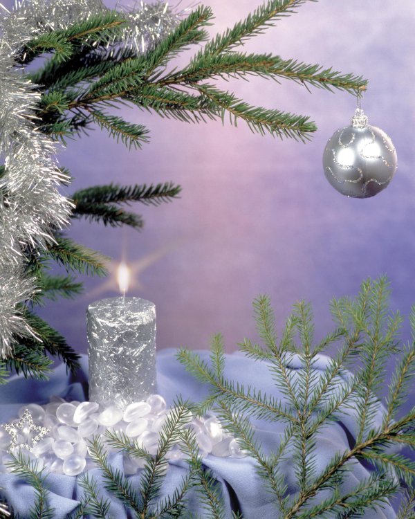 Блестящие зима