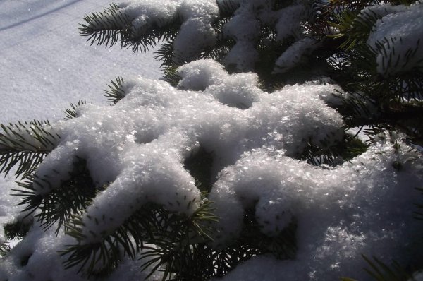 Блестящие зима