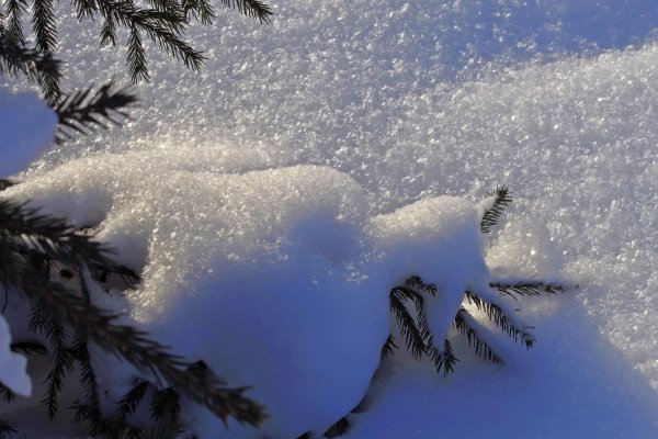 Блестящие зима