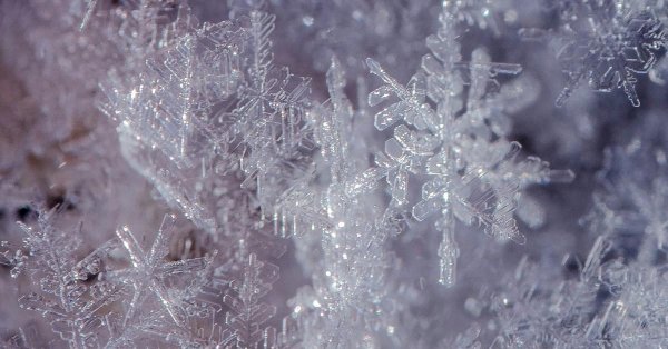 Блестящие зима