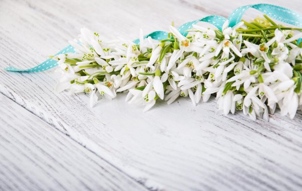 фон подснежники