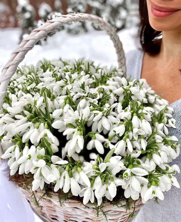корзинка с подснежниками