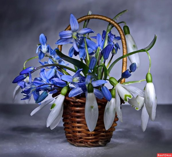 композиция с подснежниками