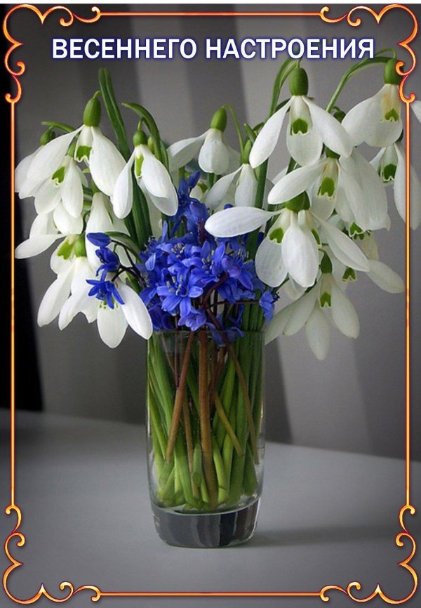 весенние цветы