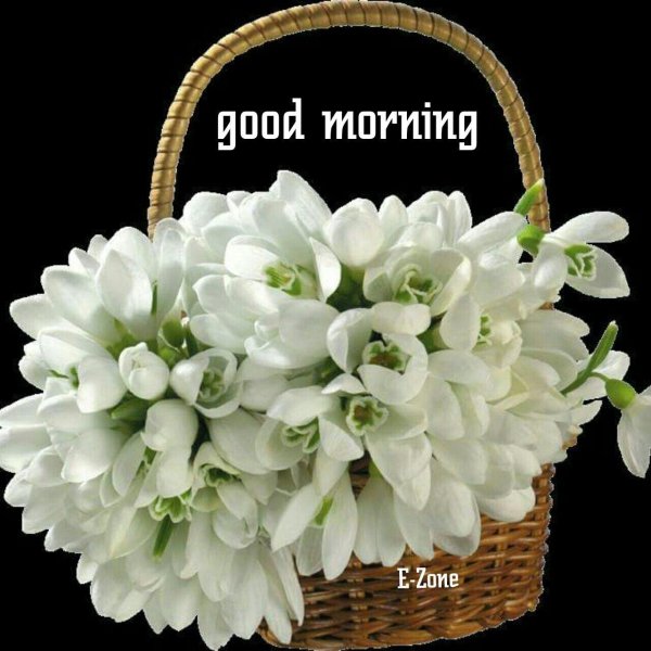 корзина подснежников