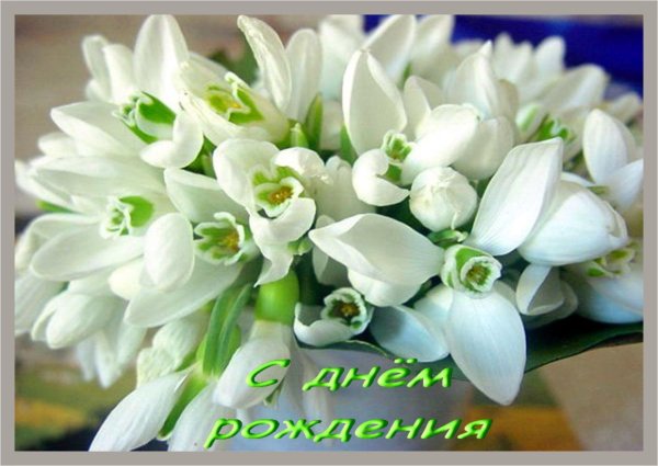 шикарный букет подснежников