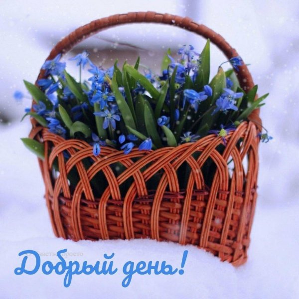 весенние цветы в корзине