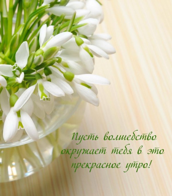 поздравлением с 8 марта