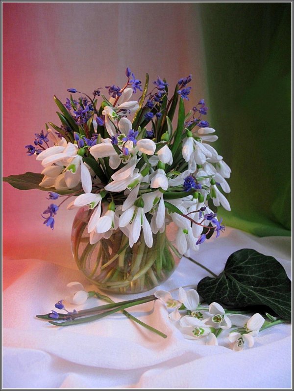 букетик подснежников