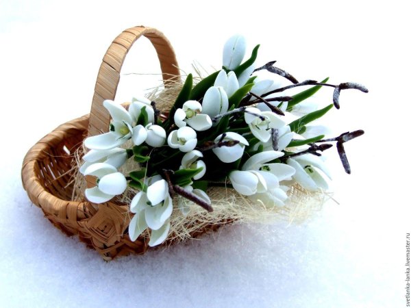 корзина с подснежниками