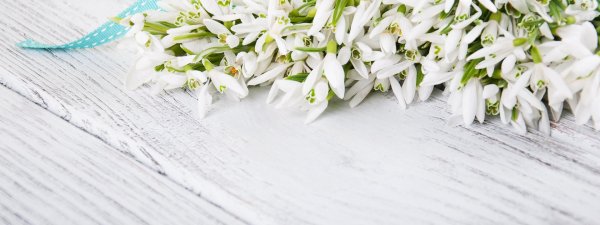 фотофон подснежники