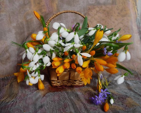 корзина подснежников